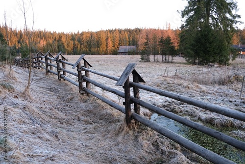 Obraz na płótnie Grey Glade (Siwa Polana) with wooden fence covered with frost on early spring morning. This is the beginning of the Chochołowska Valley. w salonie