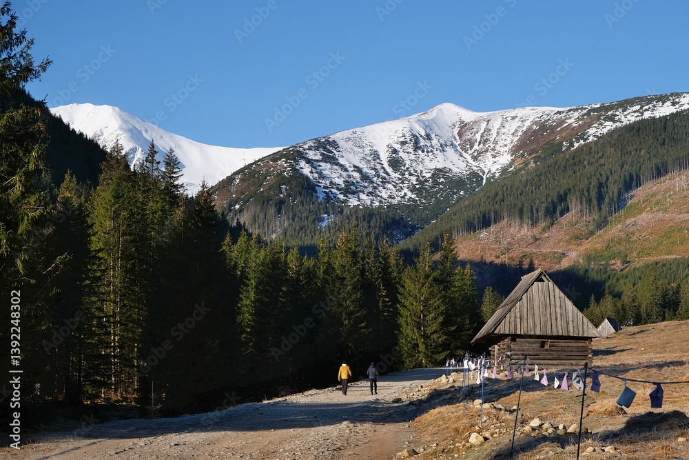 Shepherds' hut in Chochołowska Valley hiking people on road. Tatra Mountains, Zakopane, Poland
