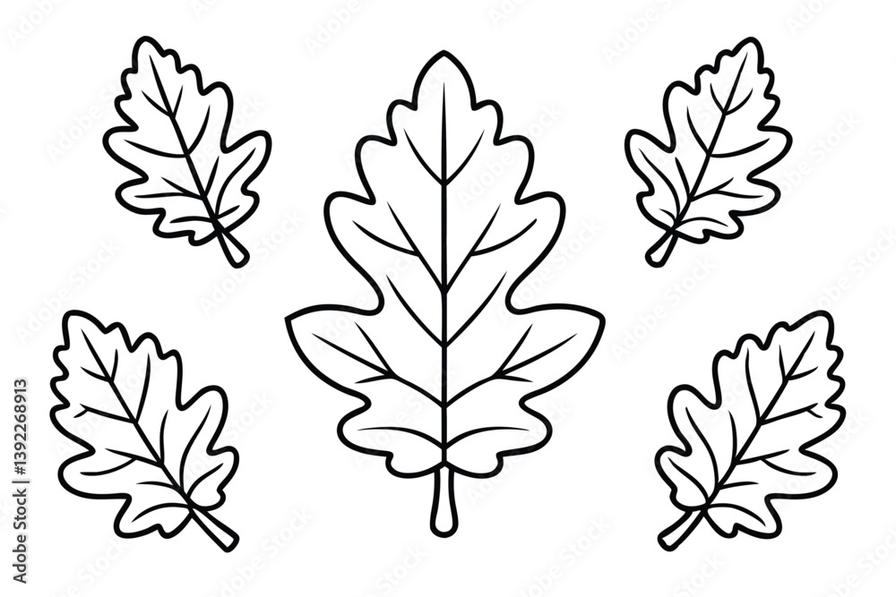 Obraz premium Oak Leaf Line Art Simple Yet Beautiful Artwork for Prints 