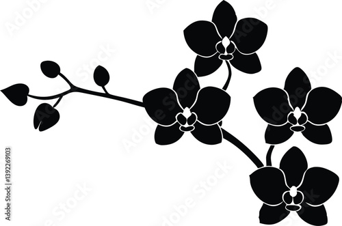 Silhouette Of Orchid Flowers Blooming On A Branch Minimalist Design Vector Illustration, orchid, flower, silhouette, floral, blossom, bloom, branch, vector, design, illustration, plant, nature