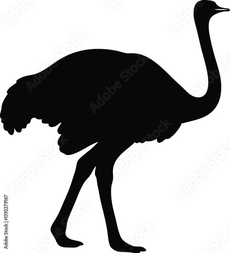 emu silhouette vector, Ostrich bird vector illustration