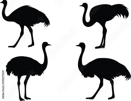 emu silhouette vector, Ostrich bird vector illustration set
