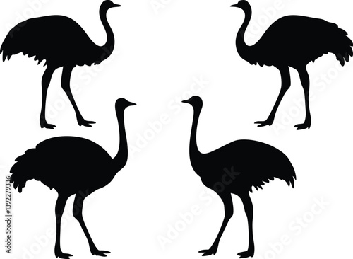 emu silhouette vector, Ostrich bird vector illustration set
