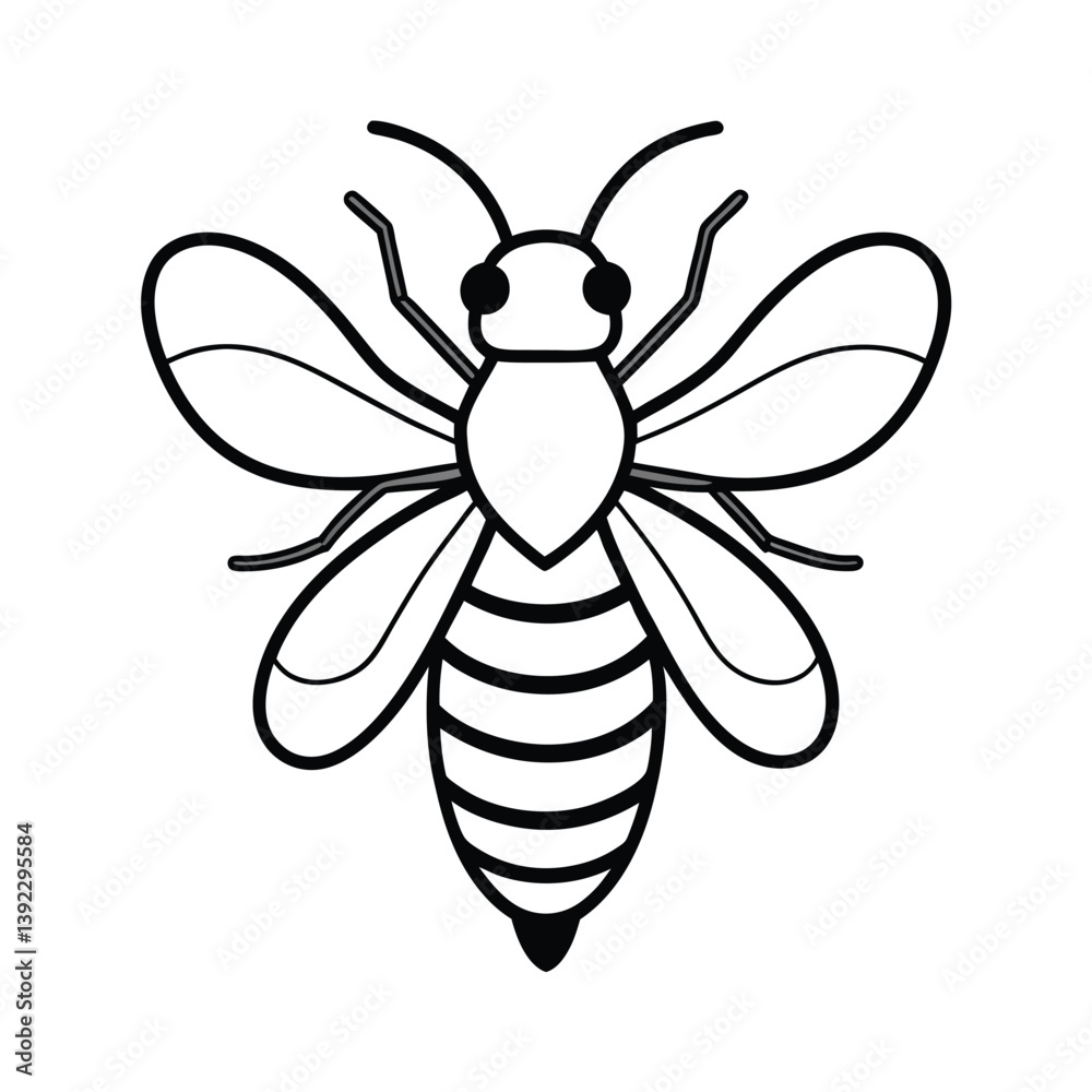 bee on white background bee on white background