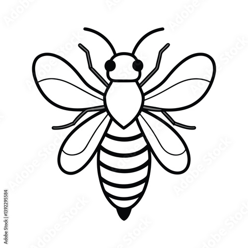bee on white background