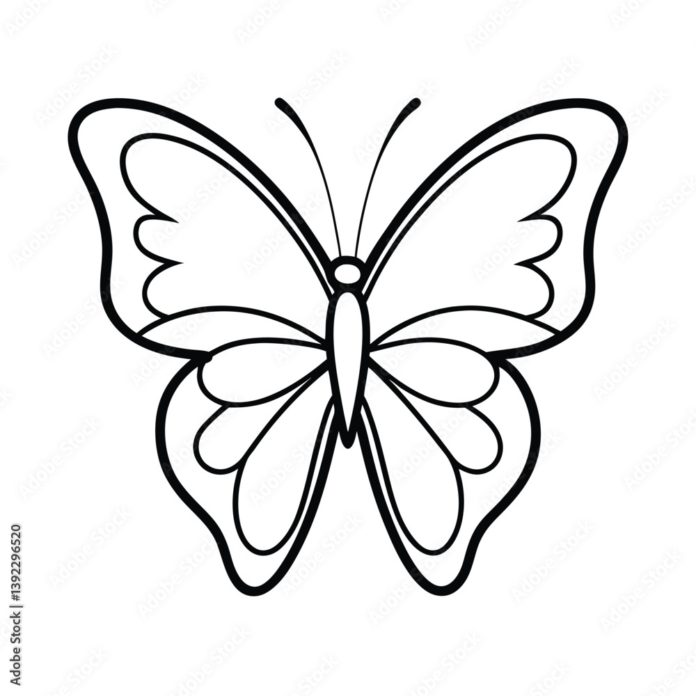 butterfly line art vector on white background butterfly line art vector on white background