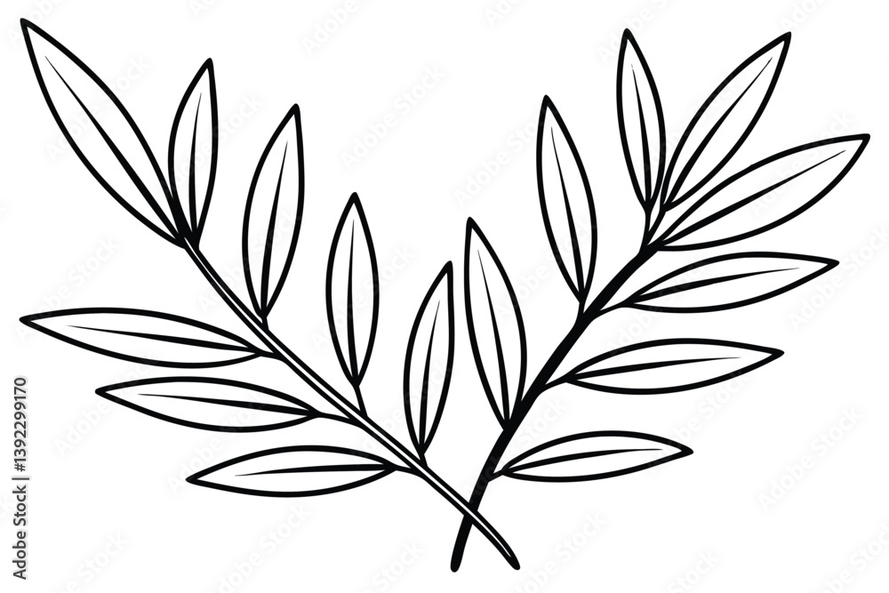 Fototapeta premium Olive Leaf Line Art Modern Drawing for Stylish Artwork 