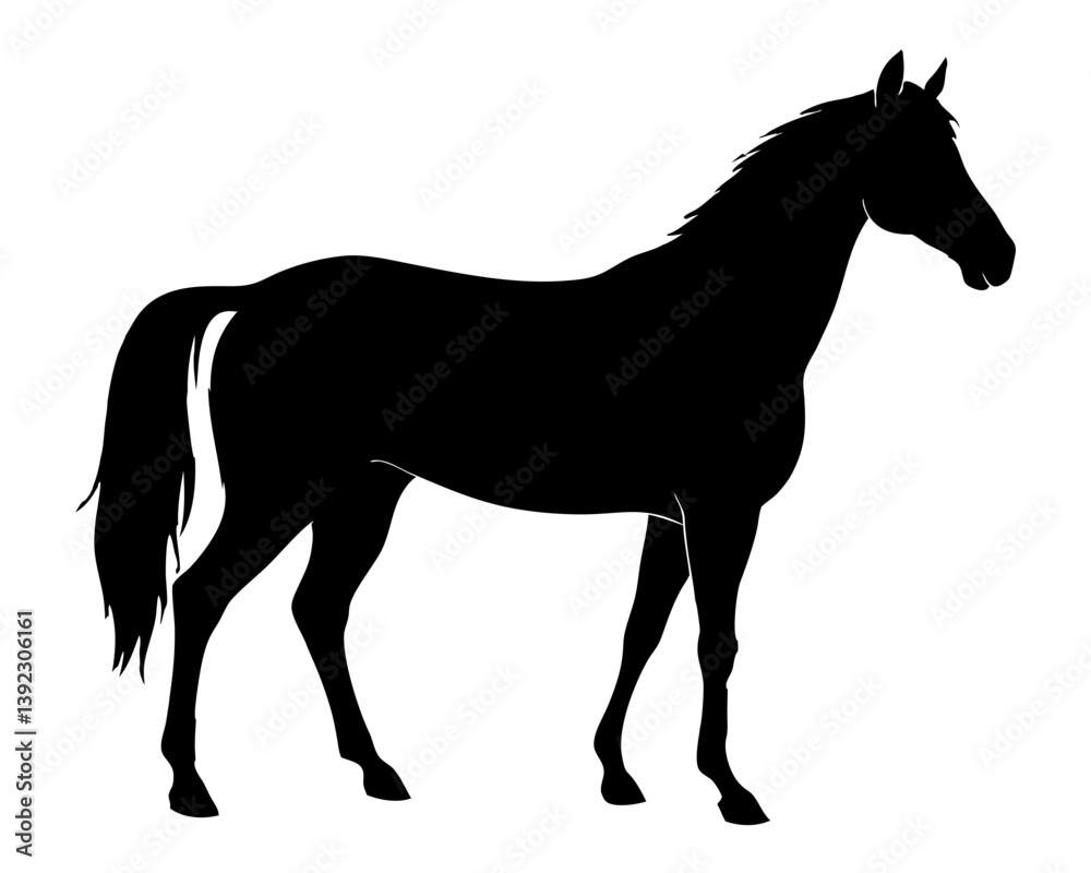 Morgan Horse Silhouette Vector & Elegant Equestrian SVG Design Morgan Horse Silhouette Vector & Elegant Equestrian SVG Design