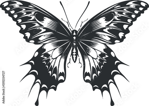 Monochrome vector illustration of a butterfly with detailed wings and symmetrical design.