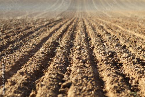 Cultivated soil