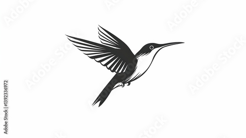 hummingbird drawing illustration