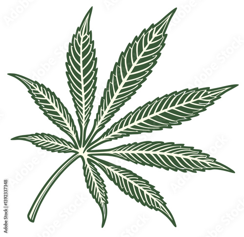 Green cannabis leaf, a medicinal herb also known as marijuana, isolated on a white background