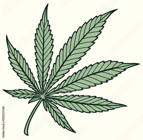 Green cannabis leaf vector illustration isolated on white, representing marijuana, hemp, a medicinal herb