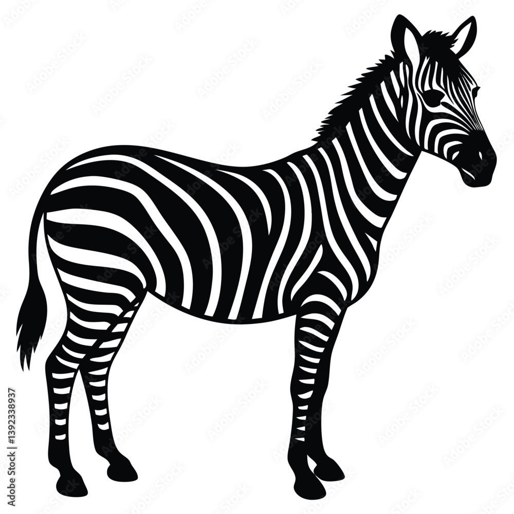 Obraz premium Zebra vector