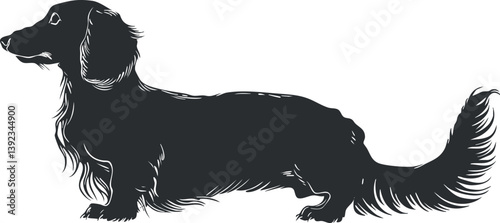 Silhouette illustration of a dachshund dog with long body and tail on a white background.
