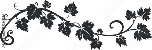 Elegant vine silhouette with leaves in a decorative floral design, showcasing nature's artistry.