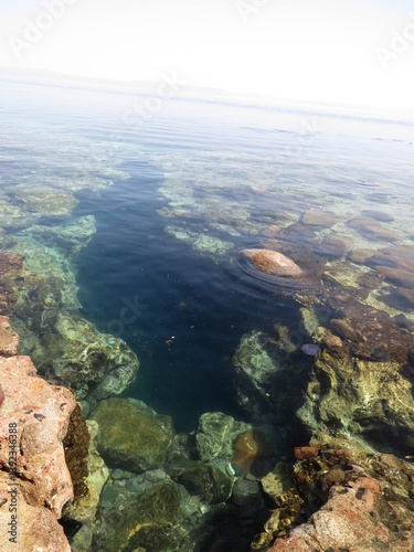 Wallpaper Mural seascape Torontodigital.ca