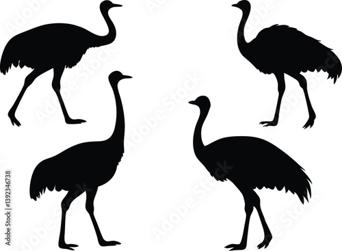 emu black silhouette vector, Ostrich bird vector illustration 