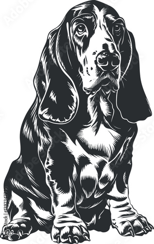 Black and white illustration of a basset hound with floppy ears and expressive features.