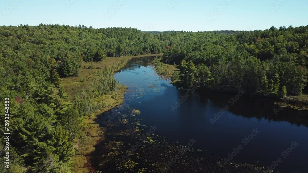 Tranquil forest lake view in Ontario, Canada, seen from an aerial perspective Tranquil forest lake view in Ontario, Canada, seen from an aerial perspective