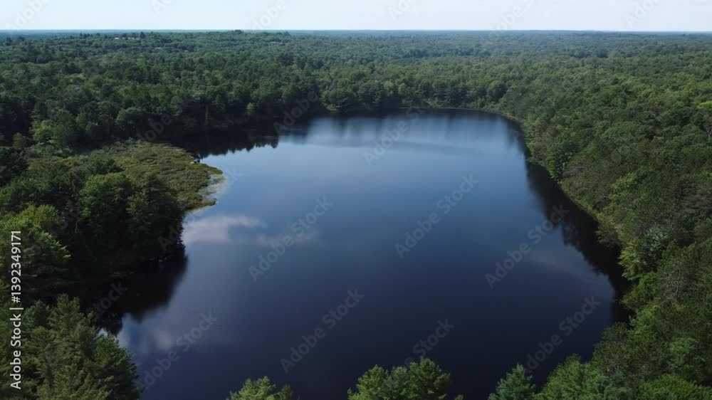 Peaceful forest lake view with still water, summer greenery, Ontario, Canada Peaceful forest lake view with still water, summer greenery, Ontario, Canada