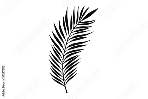palm tree silhouette, palm tree Icon, palm tree silhouette vector illustration