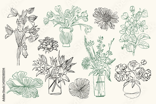 A sketch-style collection of vector flower and leaf illustrations.