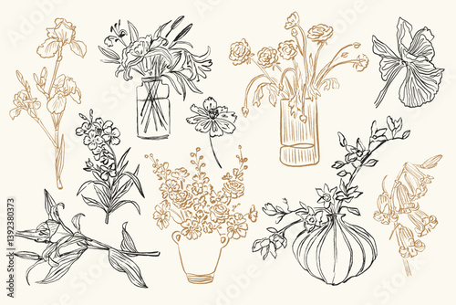 A sketch-style collection of vector flower and leaf illustrations.