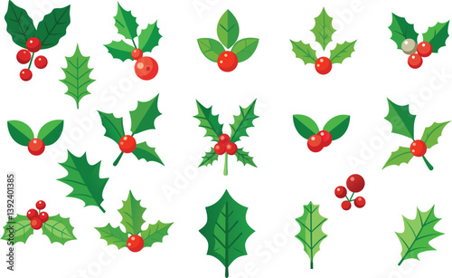 Holly Berries and Leaves Festive Christmas Design, Different type holly leaves and berries vector illustration 