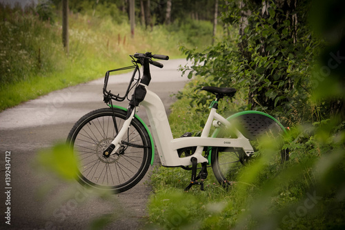 white electric bicycle in the park