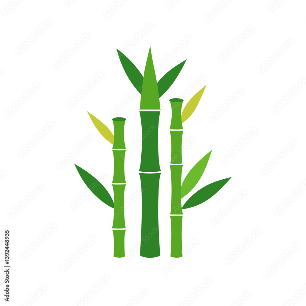 bamboo isolated on white background