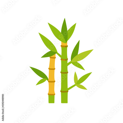 bamboo isolated on white background