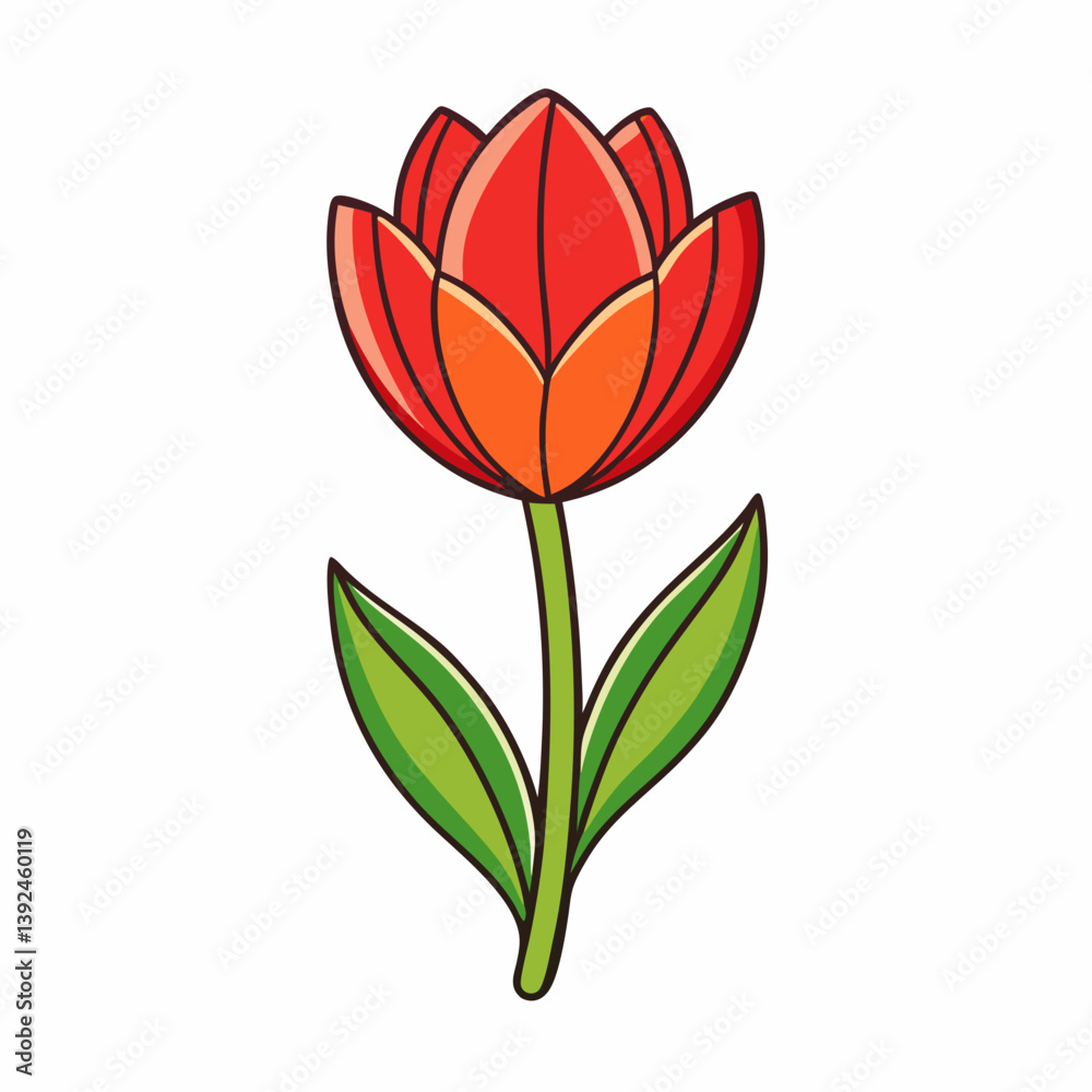 Fototapeta premium vector illustration of tulip