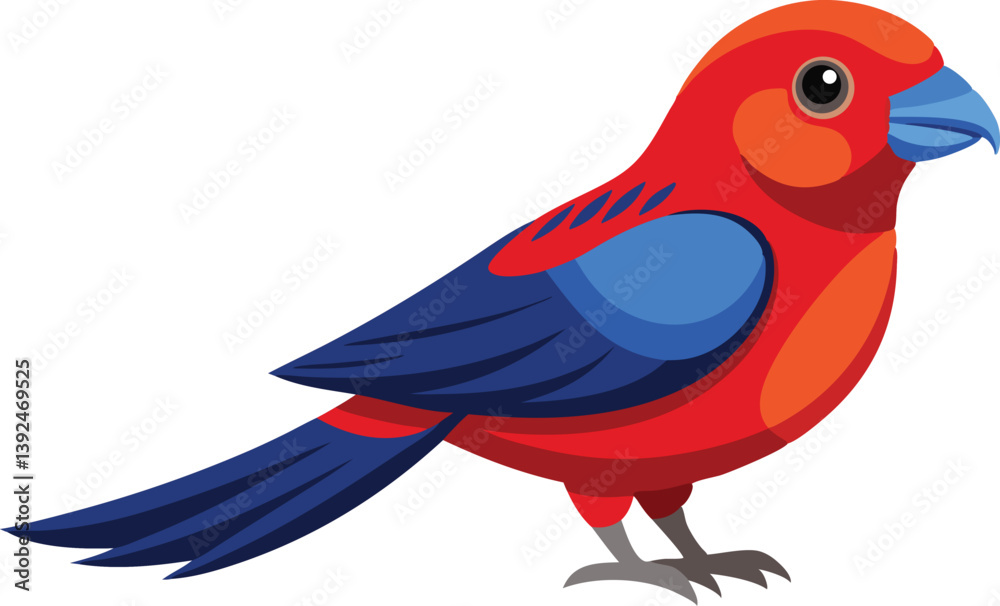 Fototapeta premium Beautiful Crimson Rosella bird vector illustration