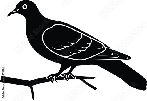 Beautiful Emerald Dove bird sitting forward on the branch silhouette black color vector illustration