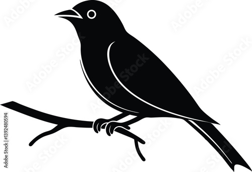 Beautiful Sapphire Cotinga bird sitting forward on the branch silhouette black color vector illustration