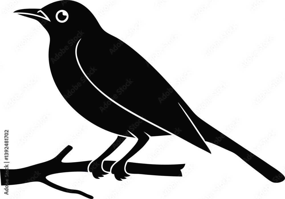 Obraz premium Beautiful Sapphire Cotinga bird sitting forward on the branch silhouette black color vector illustration