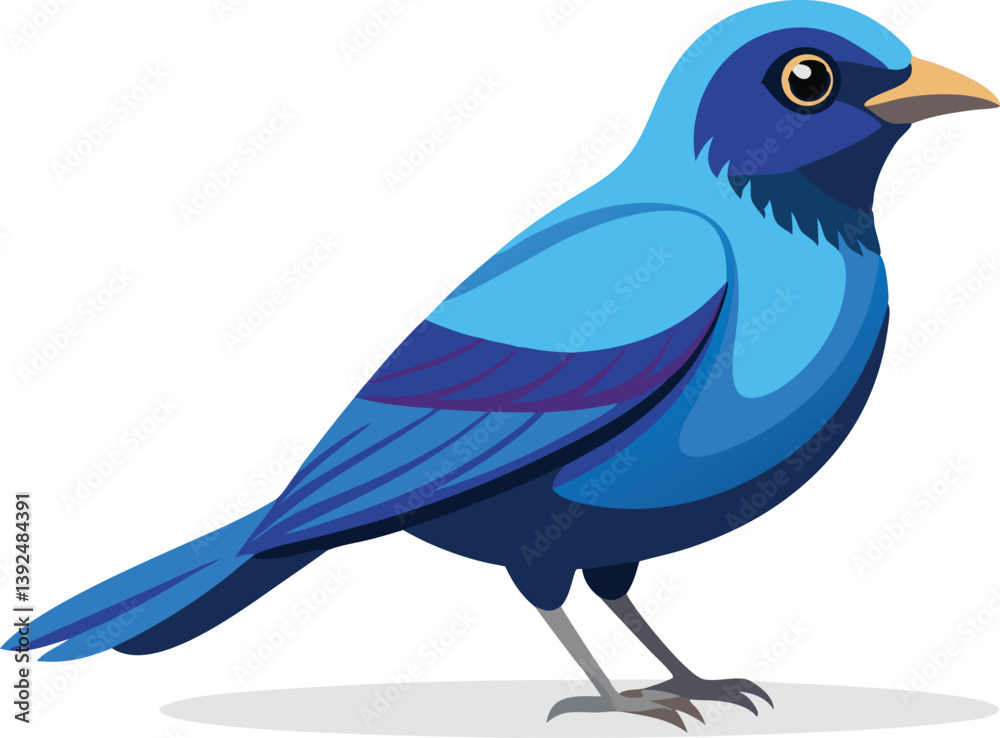 Obraz premium Beautiful Sapphire Cotinga bird vector illustration