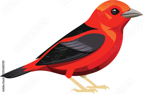 Beautiful Scarlet Tanager bird vector illustration