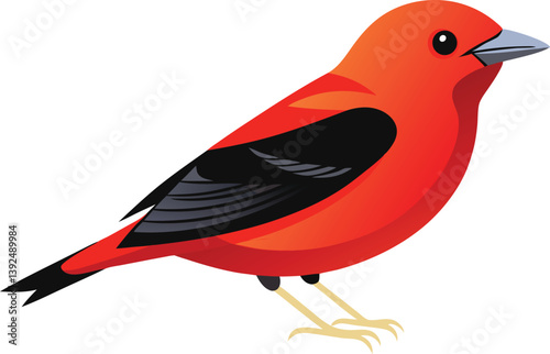 Beautiful Scarlet Tanager bird vector illustration