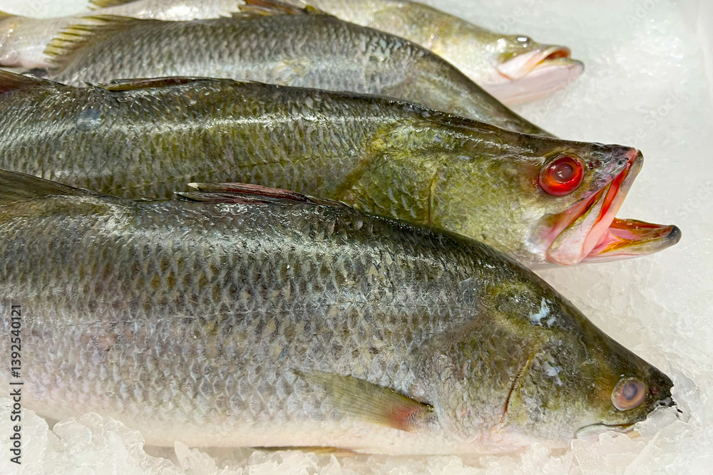 Fresh fish for sale on ice in a supermarket. Fresh fish for sale on ice in a supermarket.