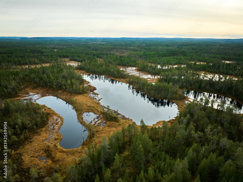 Aerial view of lakes in Lapland forest Aerial view of lakes in Lapland forest