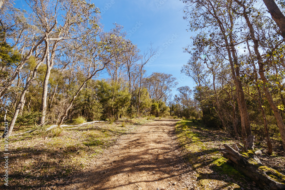 Fototapeta premium Warrandyte State Reserve in Melbourne Australia
