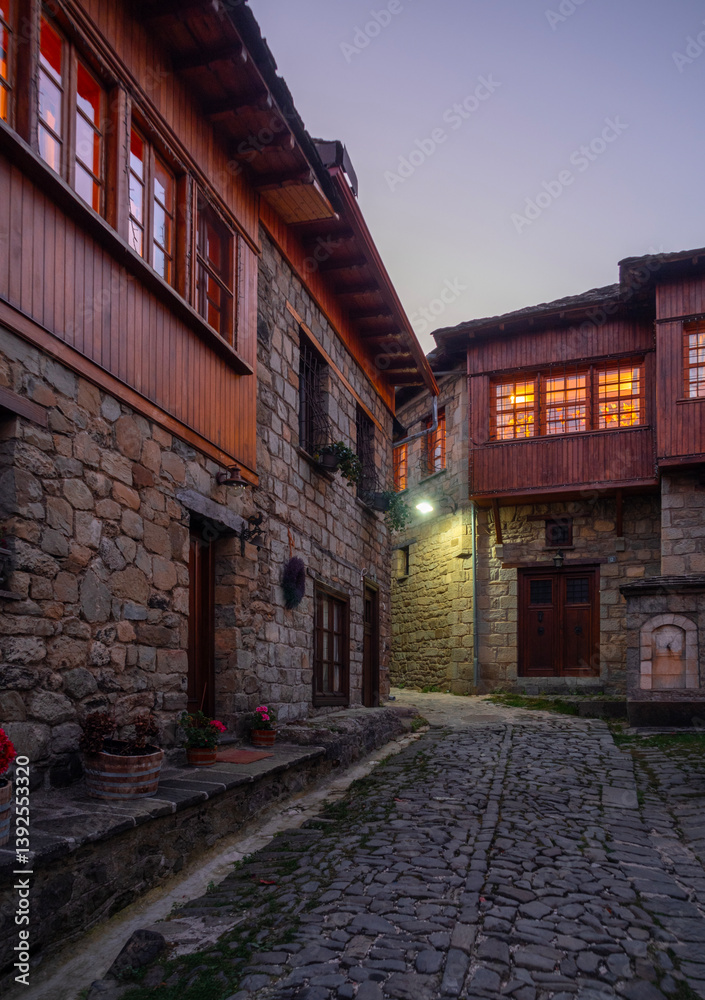 Fototapeta premium Streets and houses of traditional architecture in the mountain tourist village of Metsovo in the mountains of Epirus in Greece 