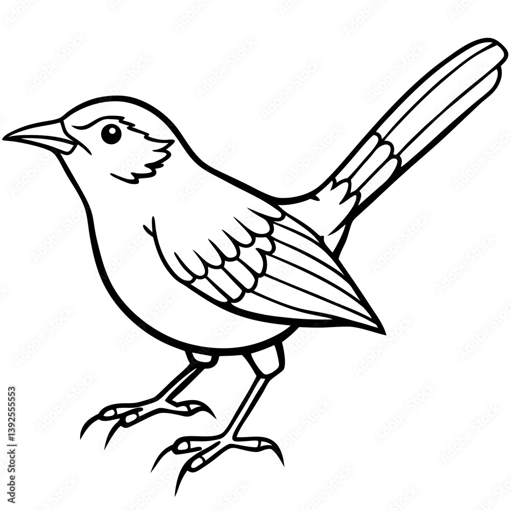 Minimal Carolina Wren Vector Illustration on White Background Minimal Carolina Wren Vector Illustration on White Background