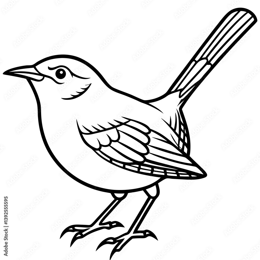 Minimal Carolina Wren Vector Illustration on White Background Minimal Carolina Wren Vector Illustration on White Background