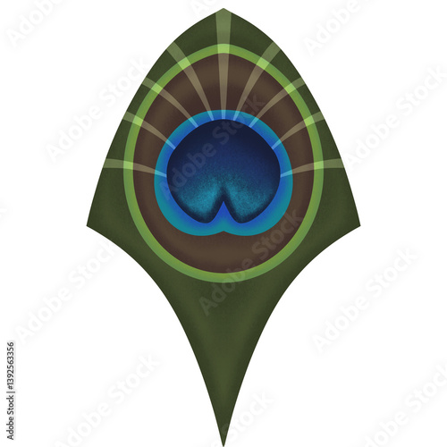 peacock feather