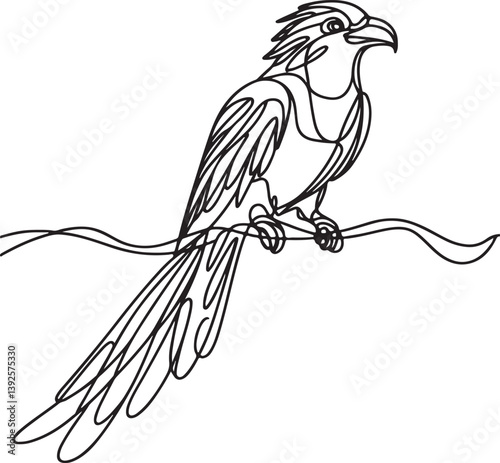 Creative Quetzal Bird Line Art Vector