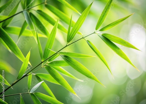 Minimalist Bamboo Leaves Photography: Green Nature Background, Asian Plant, Simple Leaf Texture