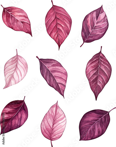 set of leaves